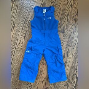 The North Face Kids Royal Blue Snow Bib Pants, 3T